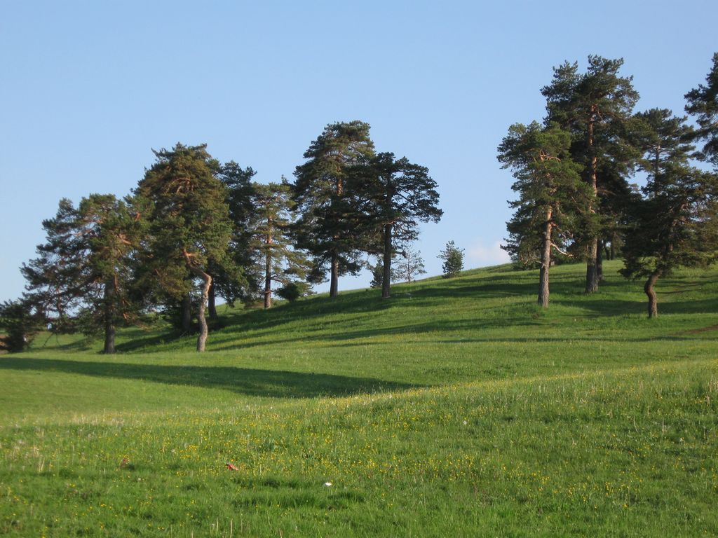 zlatibor_leti