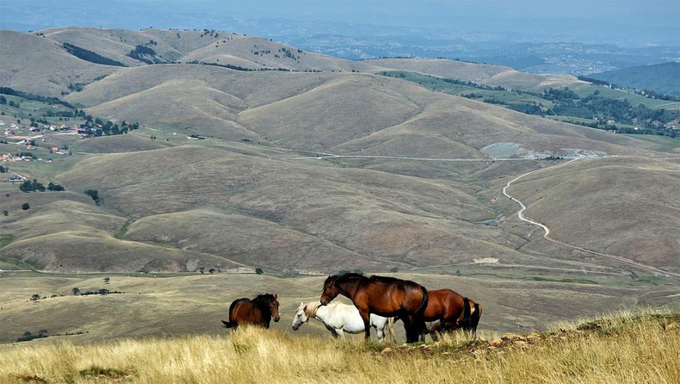 zlatibor_leti