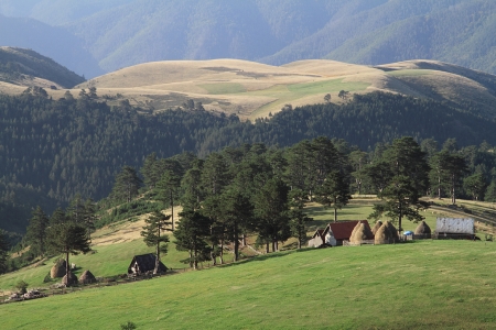 zlatibor_leti