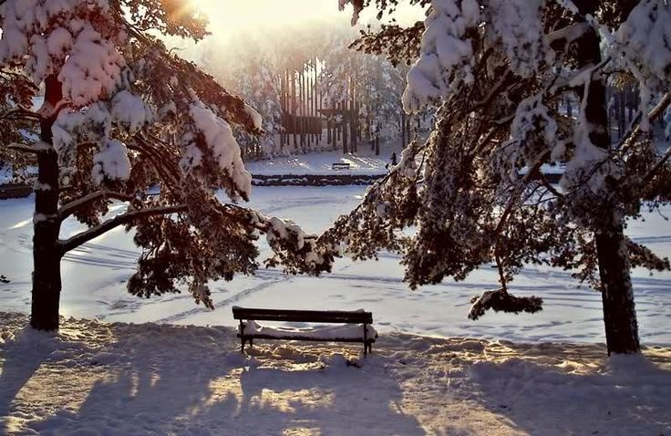 zlatibor_leti